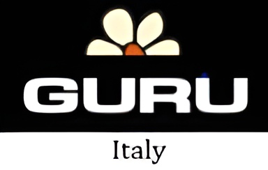 Guru